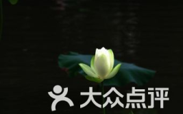 富宁娱乐街,繁华都市中的欢乐时光缩影