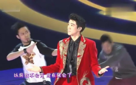 王力宏属什么生肖属相,王力宏的音乐传奇