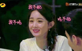 娱乐圈的瓜一般在哪里吃,揭秘明星八卦的聚集地