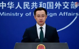 娱乐吃瓜委会副会长,幕后故事与影响力解析