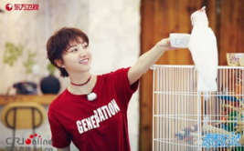 娱乐圈吃瓜王源,娱乐圈吃瓜王，揭秘明星幕后故事