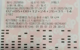 体育彩票双色球,揭秘中国最受欢迎的彩票游戏