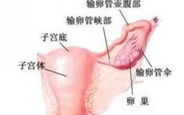 附件炎的治疗方法,药物、物理、手术多管齐下