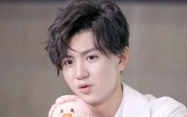 吃瓜娱乐圈陈哲远,吃瓜娱乐圈，揭秘明星背后的故事