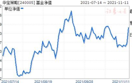 基金240005,稳健投资之道，净值波动解析