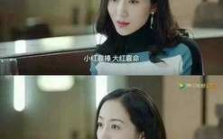 娱乐圈吃瓜后宫小说,幕后宫斗，瓜田里的爱恨情仇