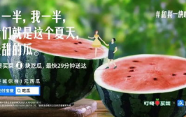 娱乐吃瓜简介文案,吃瓜群众必备的娱乐八卦速览