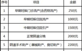 二胎生育险报销标准,标准、流程与注意事项”
