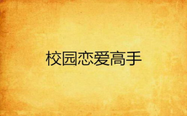 恋爱高手小说,揭秘情感攻略，解锁幸福密码